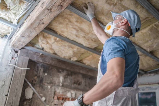 Pleasant Prairie, WI Insulation Installation & Removal Company